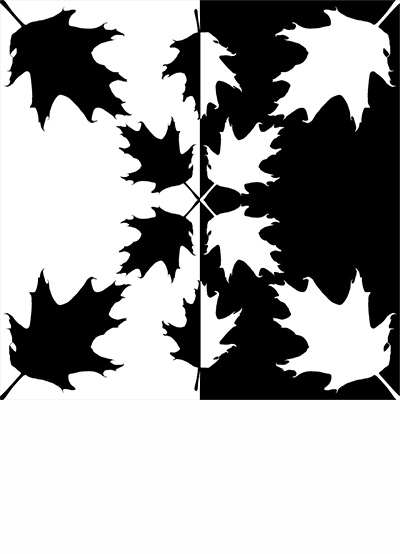 Leaves: Symmetry in Design