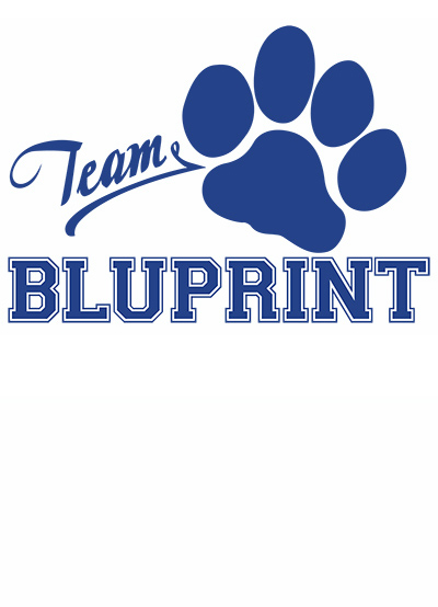 Team Bluprint Graphic